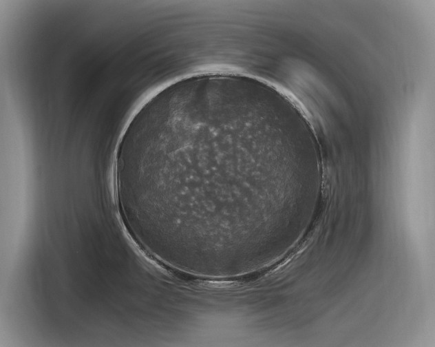 X0000116581295200912171516