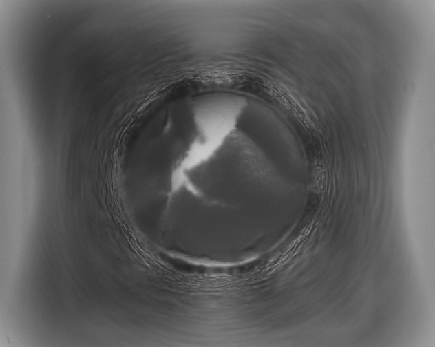 X0000116581297200912171515