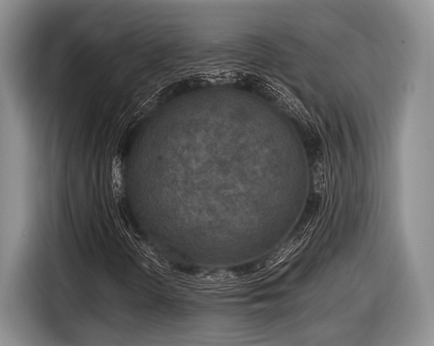 X0000116581298200912171516