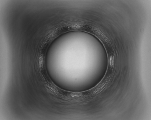 X0000116581299200912171516