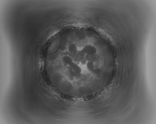 X0000116581302200912171516