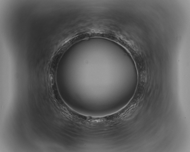 X0000116581303200912171516