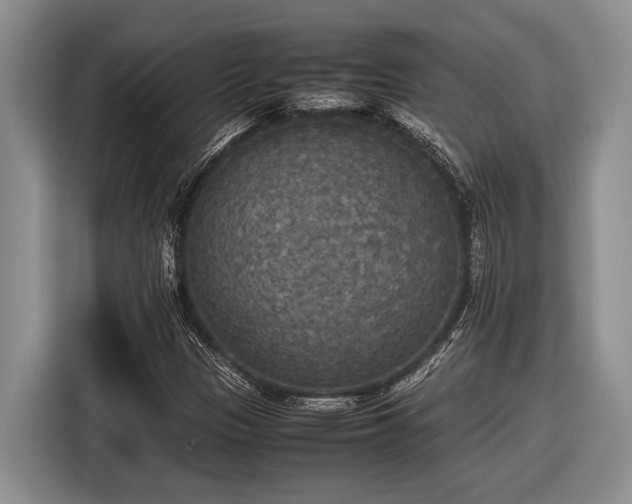 X0000116581305200912171516