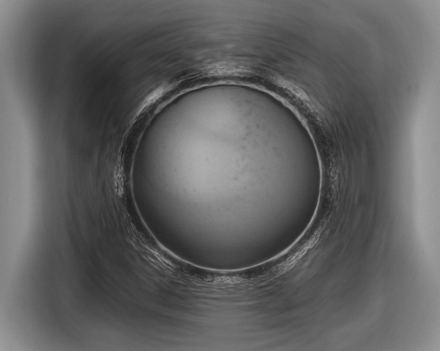 X0000116581306200912171516