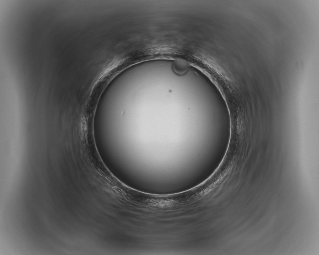 X0000116581309200912171516