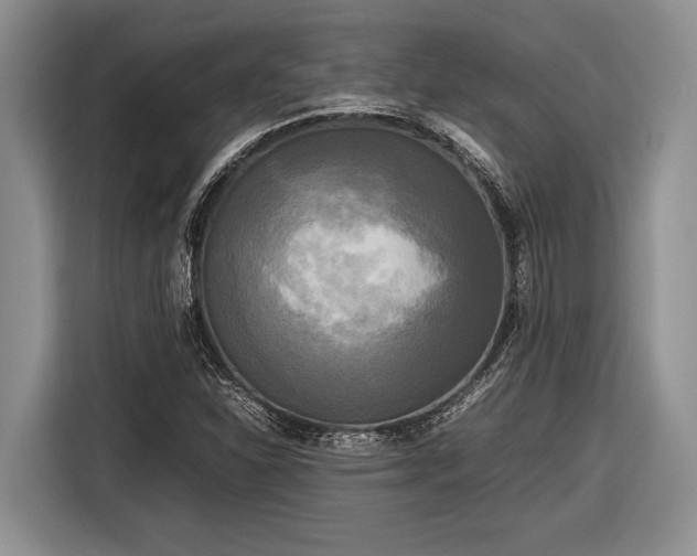 X0000116581310200912171516