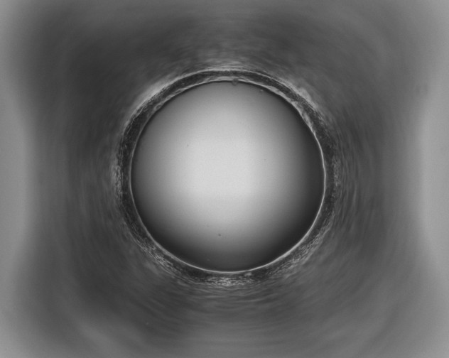 X0000116581311200912171516