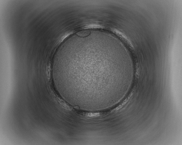 X0000116581313200912171516