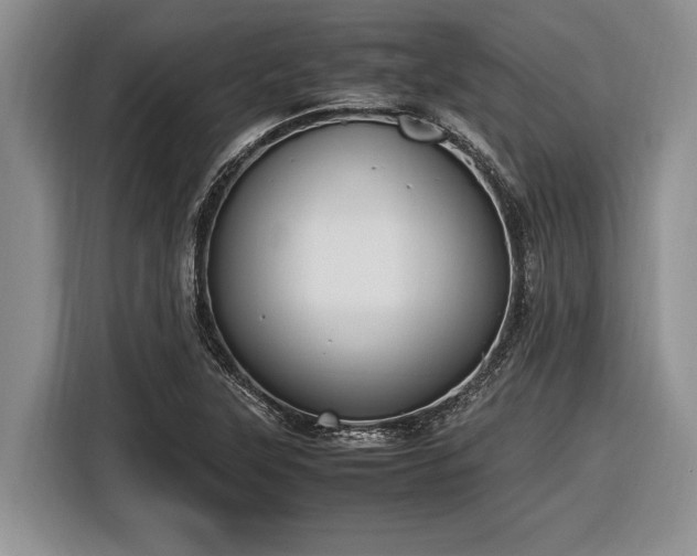 X0000116581315200912171516