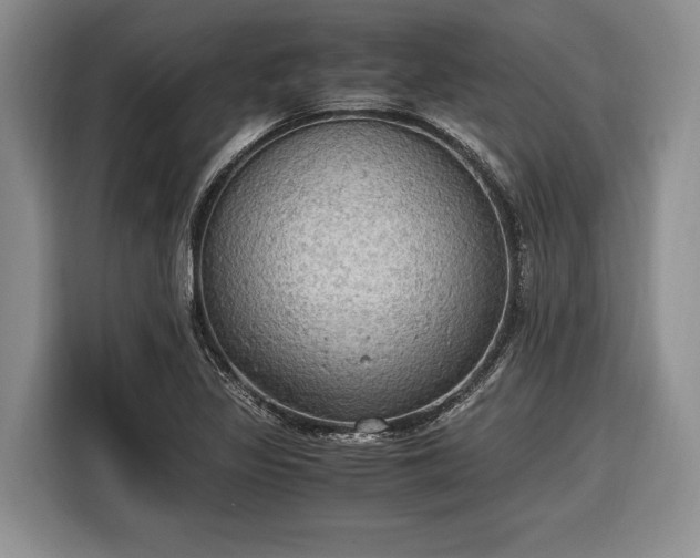 X0000116581317200912171516