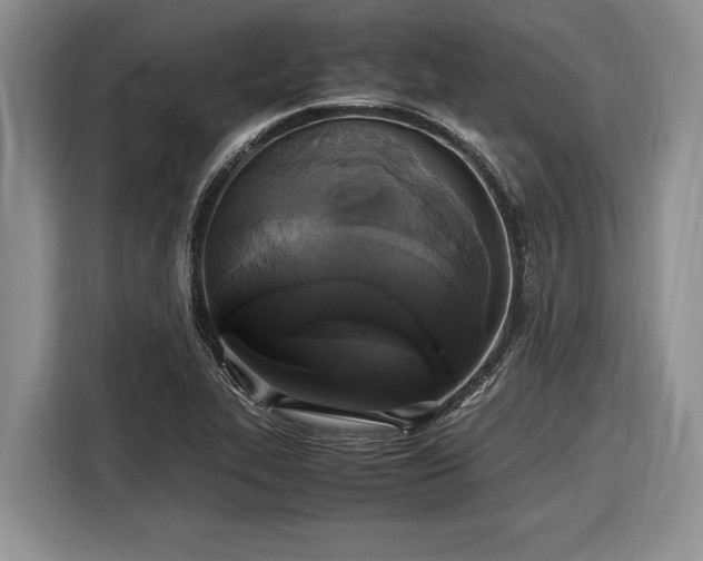 X0000116581319200912171516