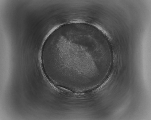 X0000116581325200912171516