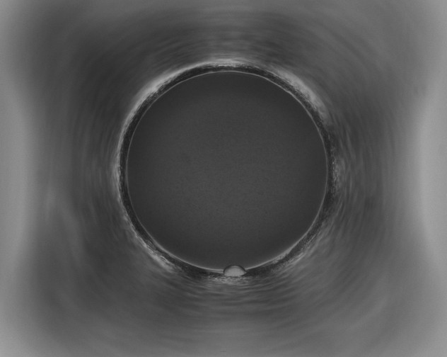 X0000116581327200912171516