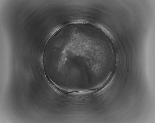 X0000116581329200912171516