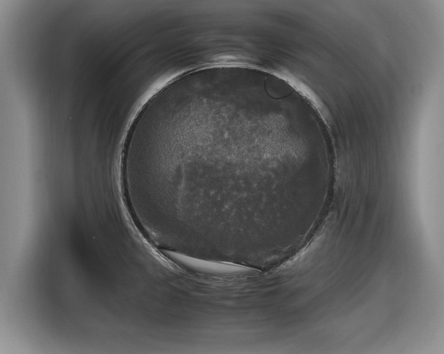 X0000116581333200912171516