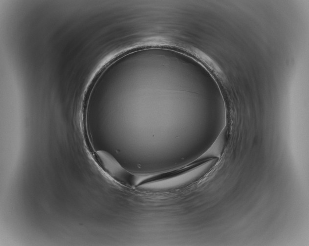 X0000116581334200912171516