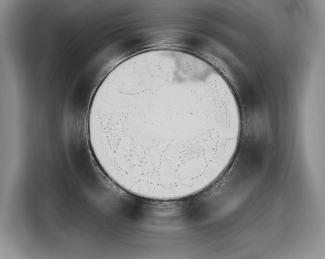 X0000116581338200912171516