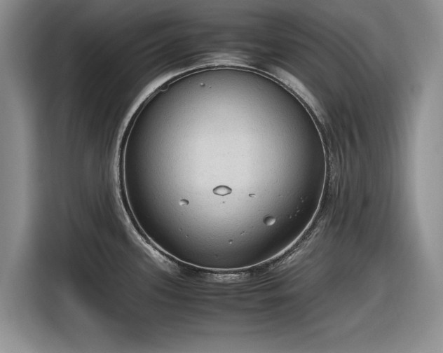 X0000116581339200912171516