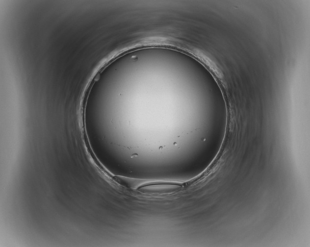 X0000116581342200912171516