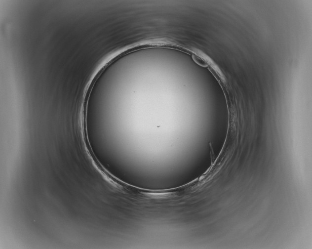 X0000116581343200912171516