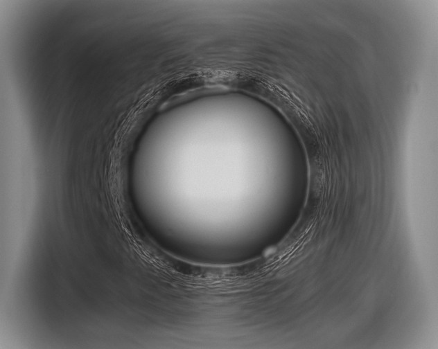 X0000116581345200912171515