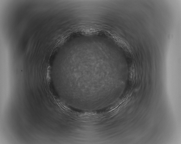 X0000116581346200912171515