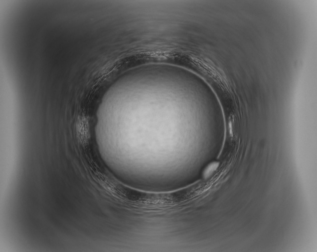 X0000116581347200912171515