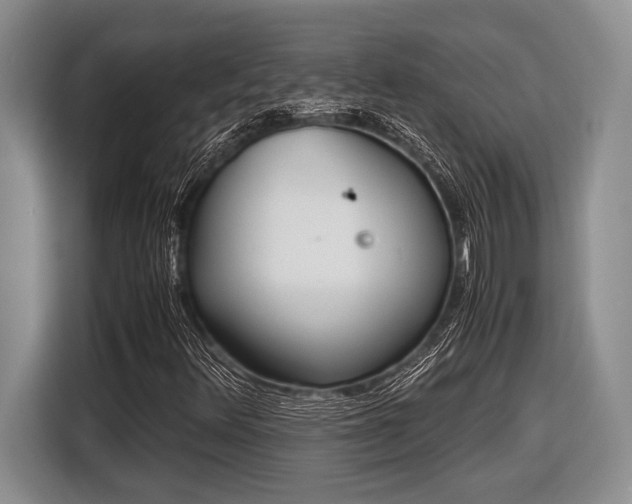 X0000116581348200912171515