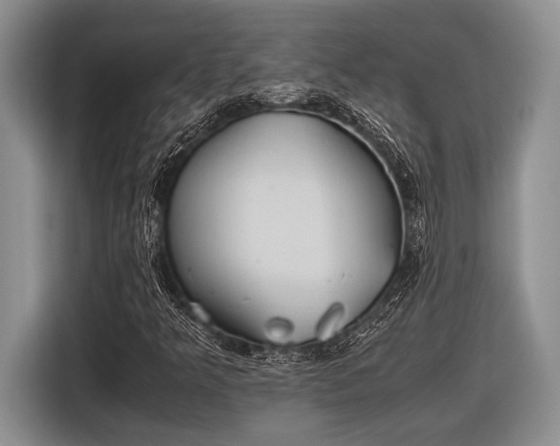 X0000116581349200912171515