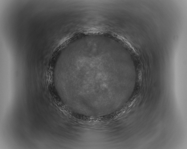 X0000116581350200912171515