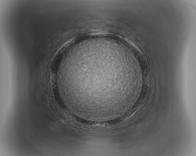 X0000116581351200912171515