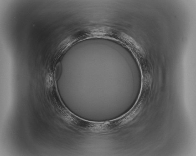 X0000116581353200912171515