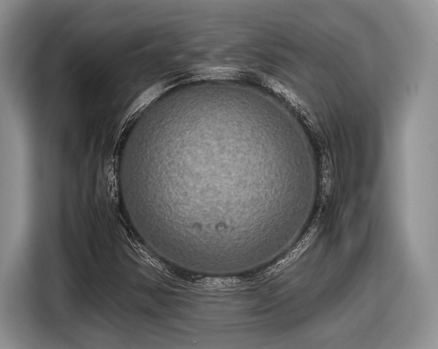 X0000116581354200912171515