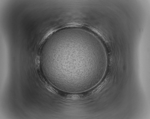 X0000116581355200912171515