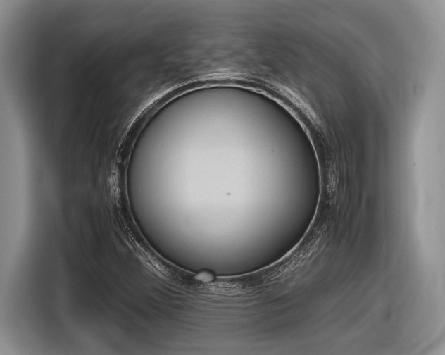 X0000116581356200912171515