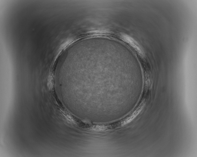 X0000116581357200912171515