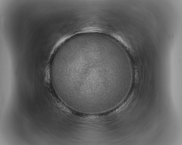 X0000116581358200912171515