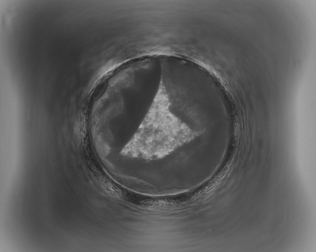 X0000116581359200912171515