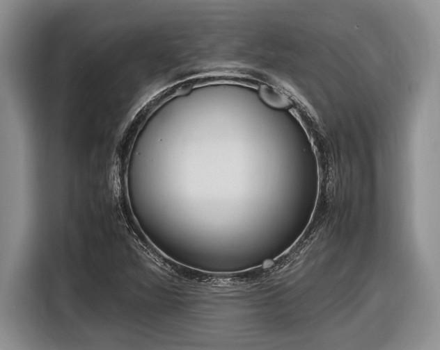 X0000116581360200912171515