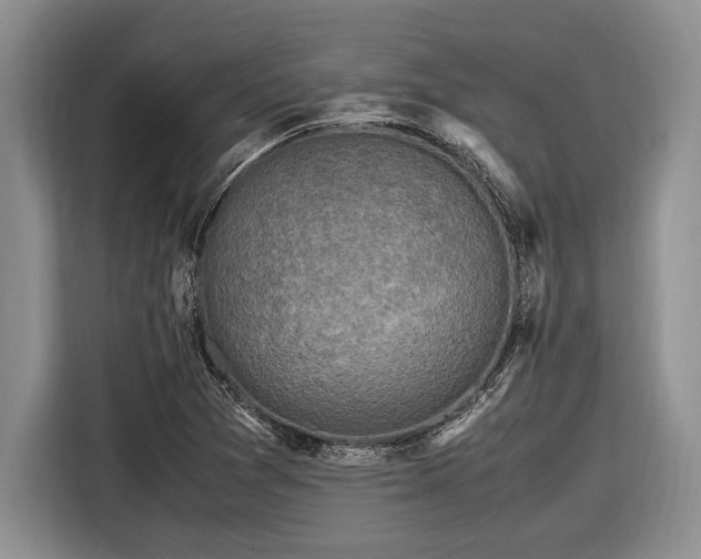 X0000116581361200912171515