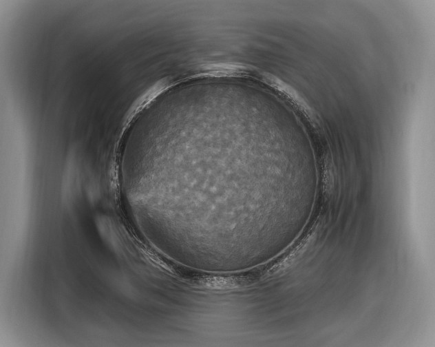 X0000116581362200912171515