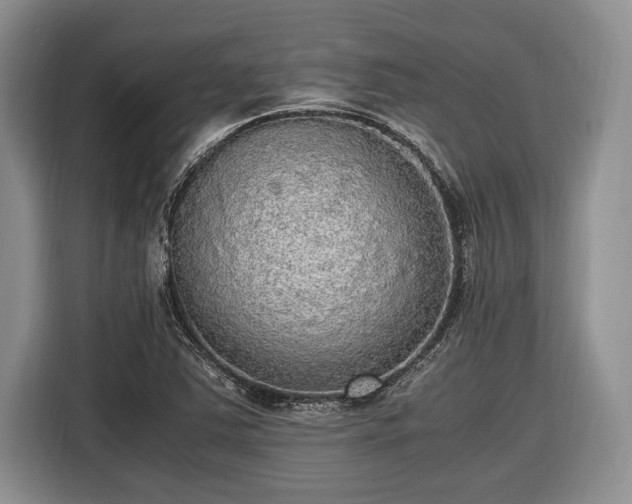 X0000116581363200912171515