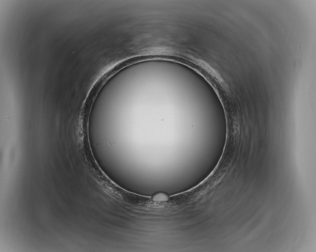 X0000116581364200912171515