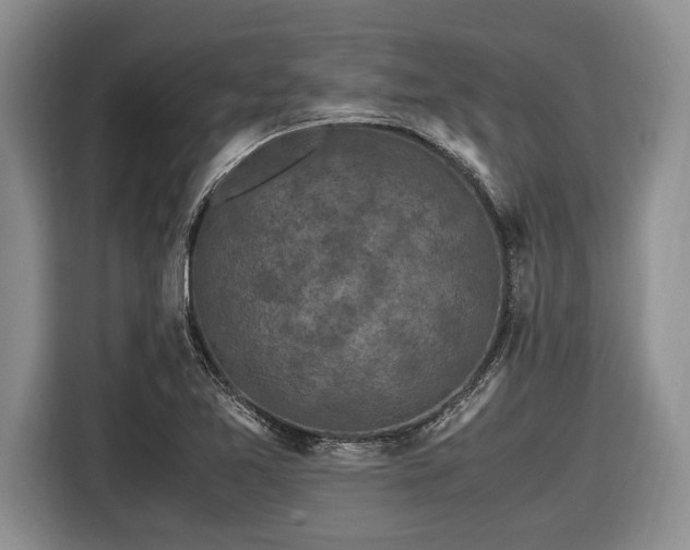 X0000116581365200912171515