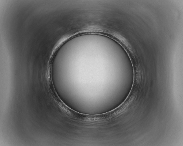 X0000116581366200912171515