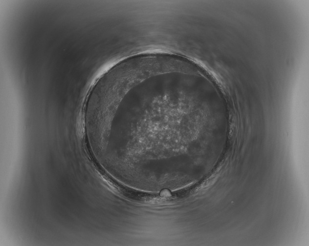 X0000116581367200912171515