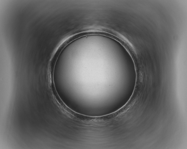 X0000116581368200912171515