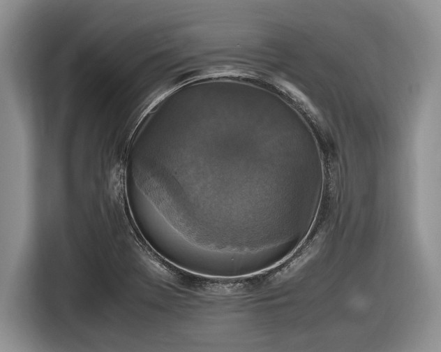 X0000116581369200912171515