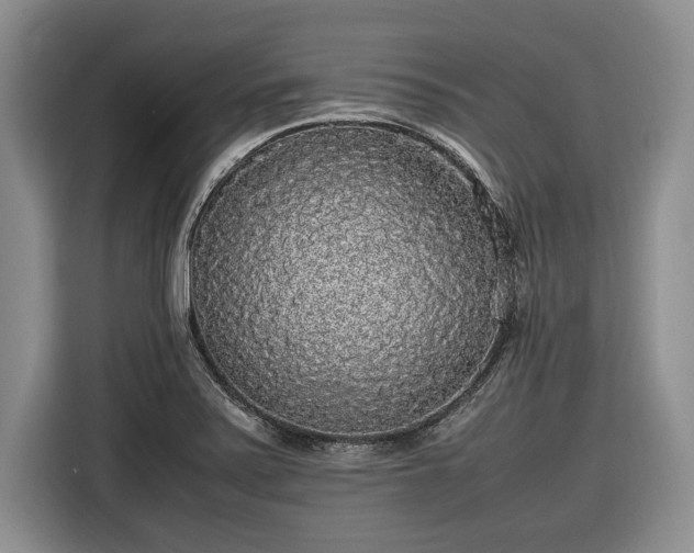 X0000116581371200912171515