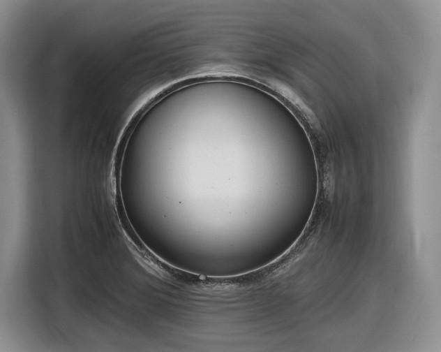 X0000116581372200912171515